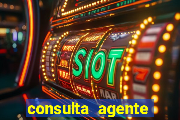 consulta agente autuador sp